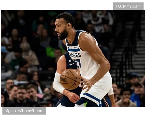 森林狼进攻效率115.8防守112.2 戈贝尔护框保障防守下限